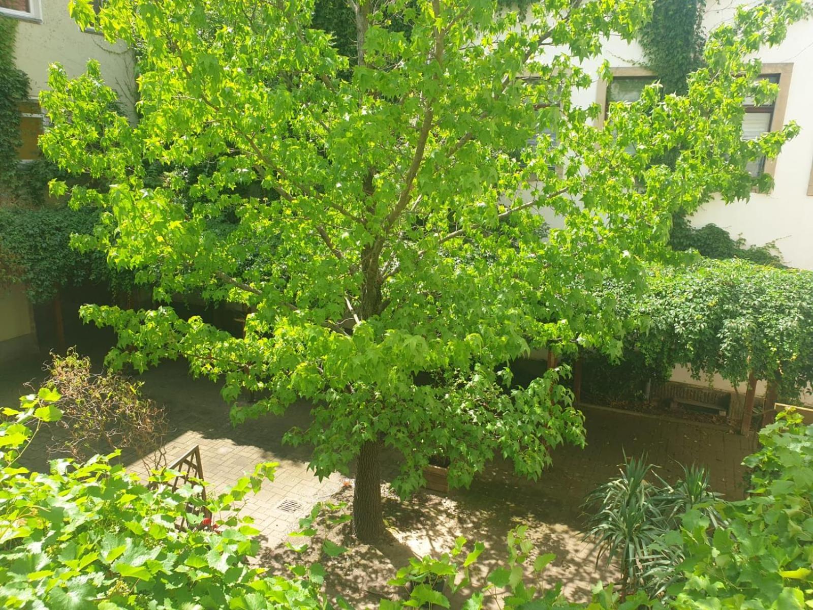 Ferienwohnung Weisses Ross Πίρνα Δωμάτιο φωτογραφία